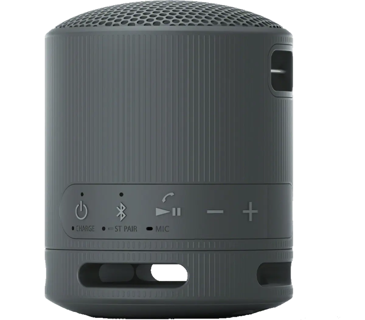 SONY SRS-XB100