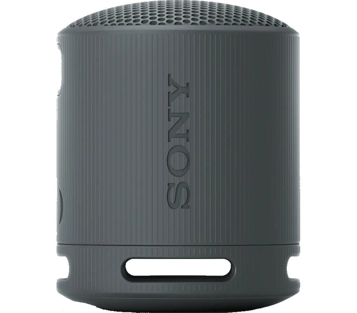 SONY SRS-XB100