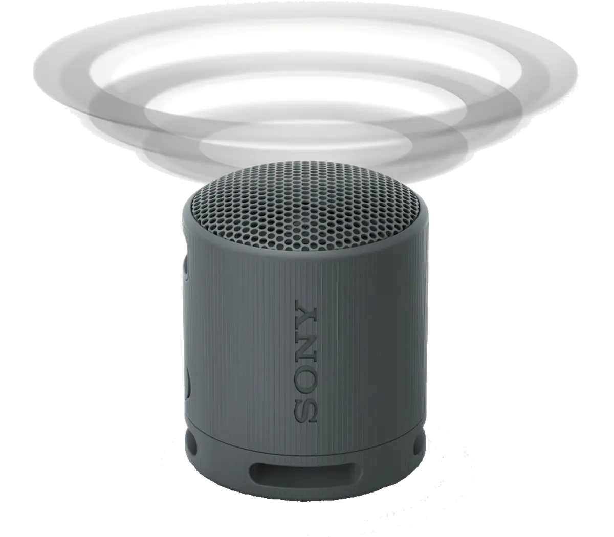 SONY SRS-XB100