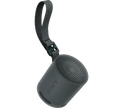 SONY SRS-XB100