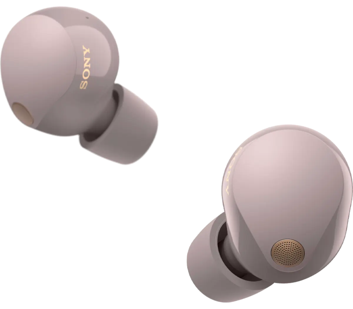 SONY WF-1000XM5