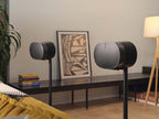 SONOS ERA 300