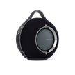 Devialet Mania