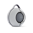 Devialet Mania