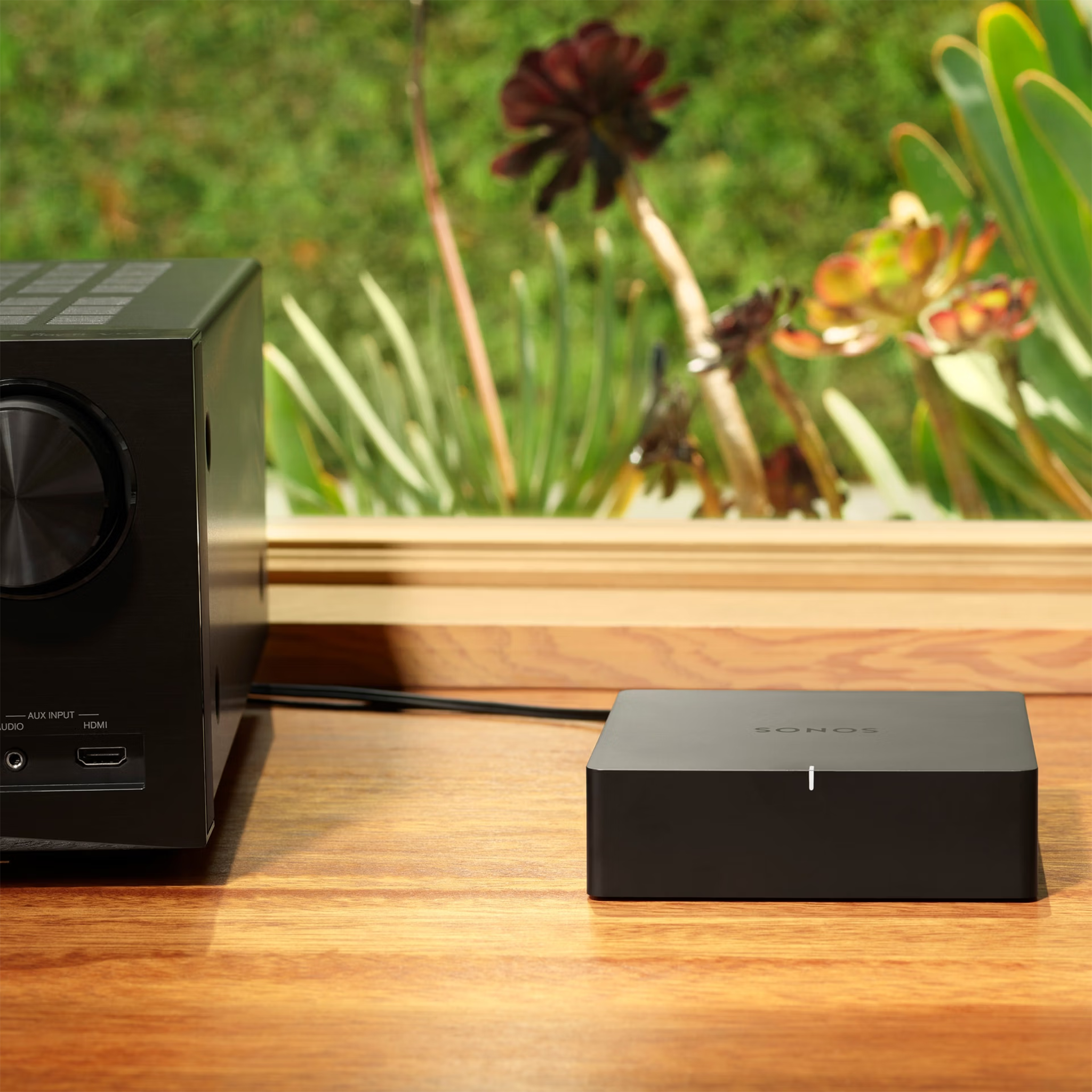 SONOS Port