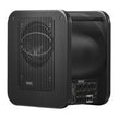 GENELEC 7360APM-6