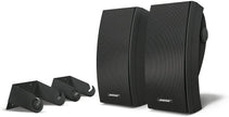 BOSE 251® Environmental 
